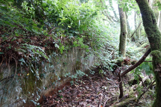 Light railway platform at Halwill Junction