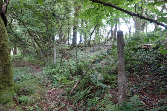 Fencing on the North Cornwall line.