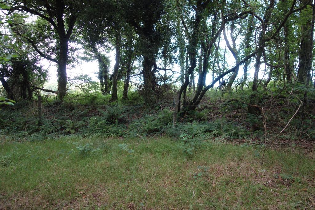 Fencing on the North Cornwall line.