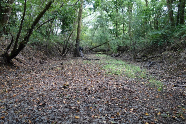 North Cornwall line trackbed.