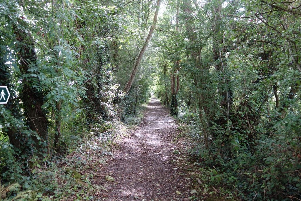 Bramford Speke track.