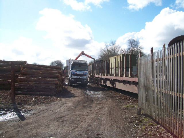 Logs being loaded at Teignbridge.