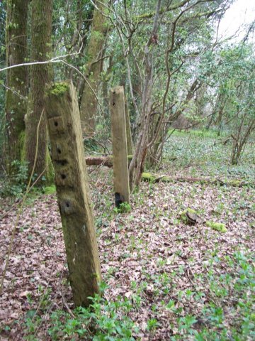 Teign Valley Branch