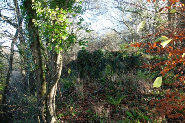 Dunsford Halt