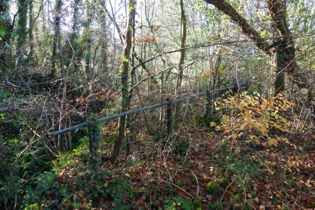Cotley Lane Bridge