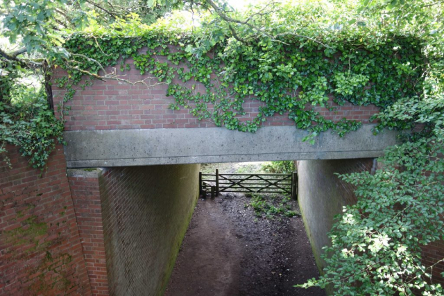 A30 bridge over Sidmouth Branch