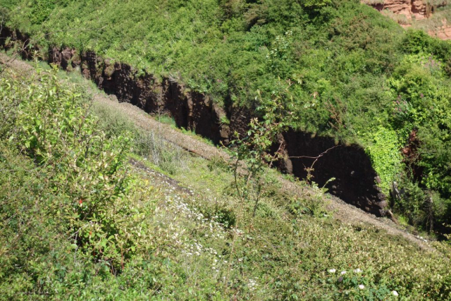 Livermead Tunnel