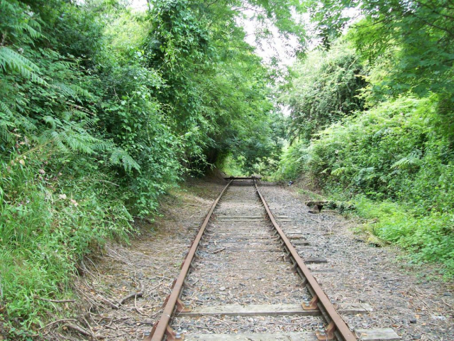 Thornbury Branch railway