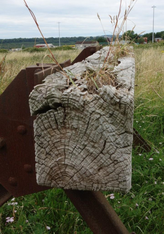 Sharpness Dock