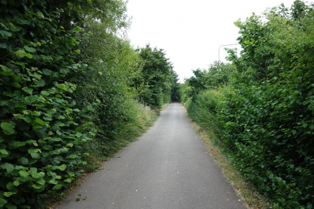 Thornbury Branch railway