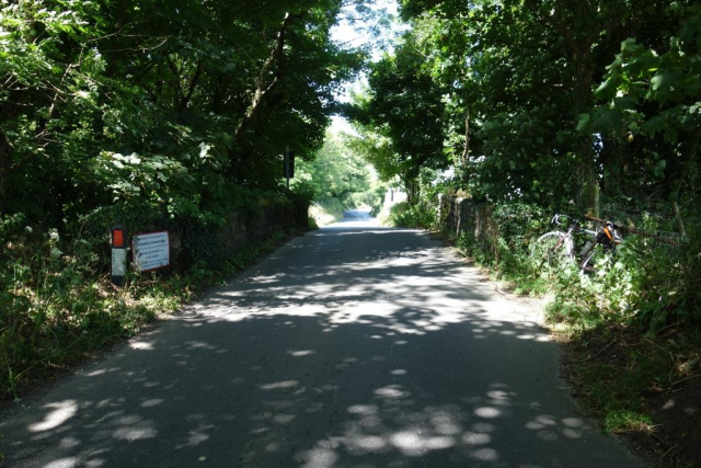 Domellick Bridge