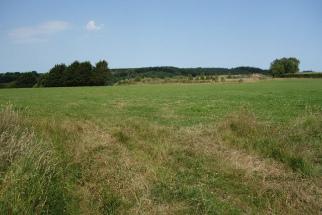 Roman fort, Okehampton