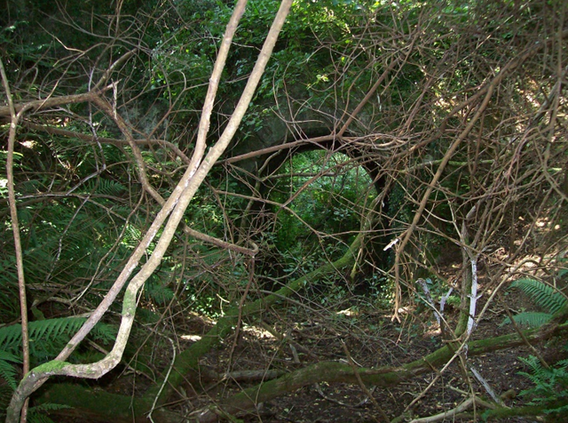 Toldish Tunnel