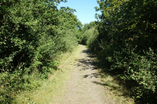 Bude Branch railway