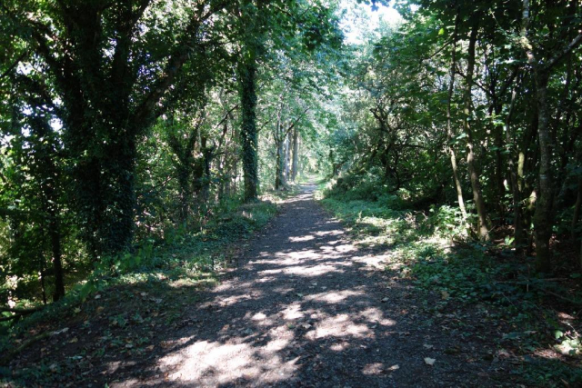 Bude Branch railway