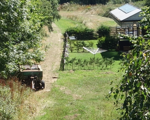 Whitstone & Bridgerule Station