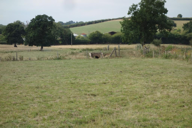 Sidmouth Branch