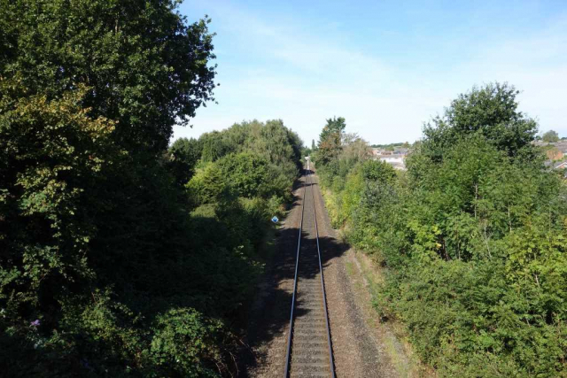 Green Lane Bridge, Sidmouth Junction