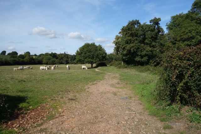 Newton Poppleford Station