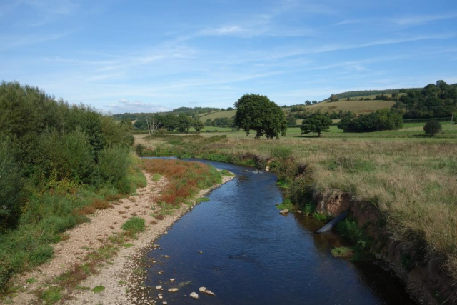 Budleigh Salterton Branch