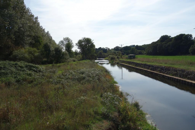 Budleigh Salterton Branch