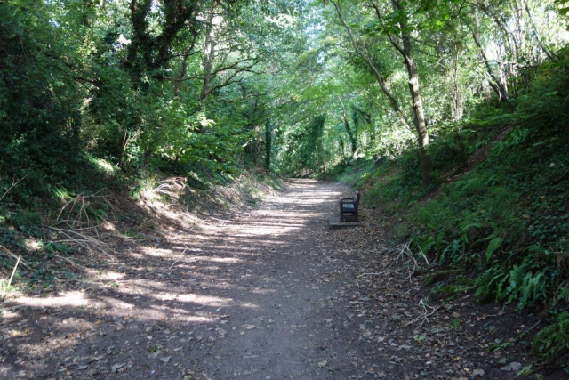 Budleigh Salterton Branch