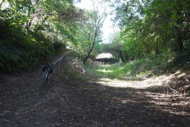 Budleigh Salterton Branch