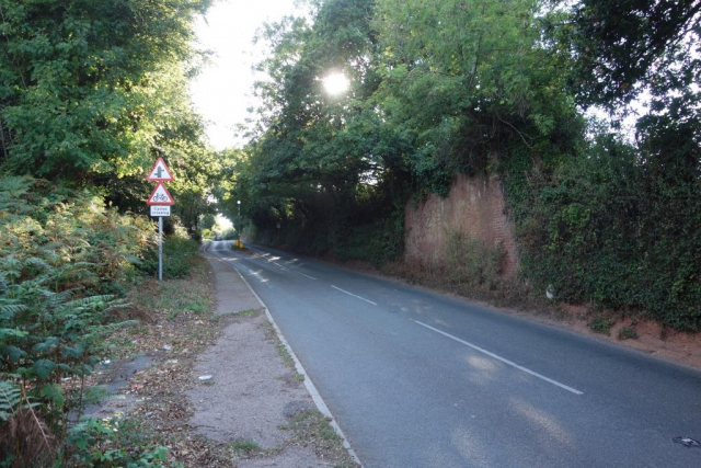 Exmouth & Salterton Line