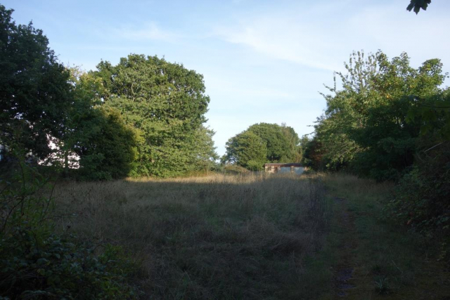 Exmouth & Salterton Line