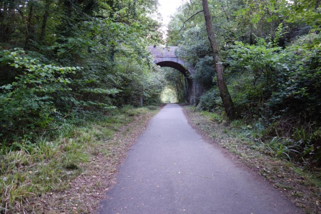 Exmouth & Salterton Line