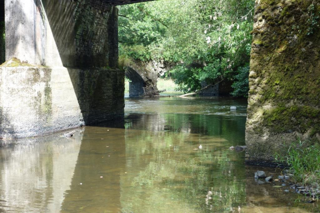 Homeland Bridge