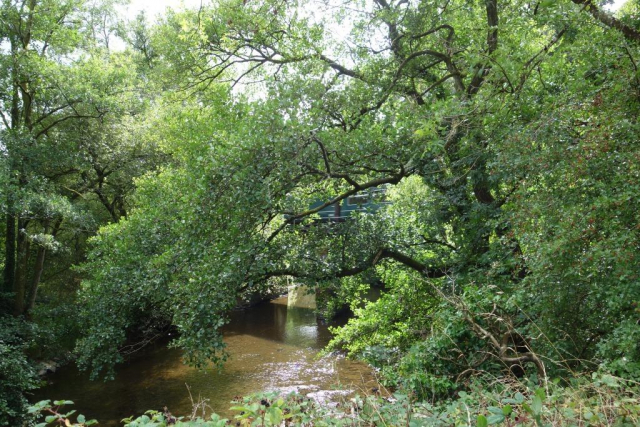 Homeland Bridge