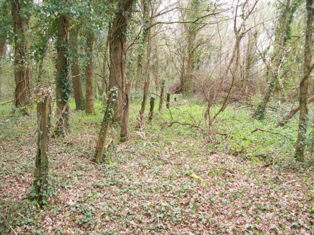 Teign Valley Branch