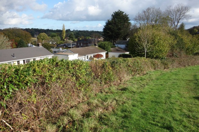 Teign Valley Branch
