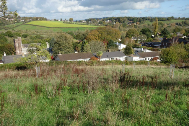 Teign Valley Branch