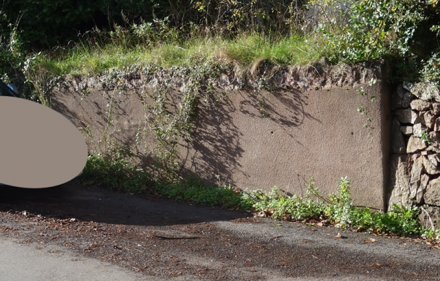 Teign Valley Branch