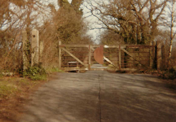 Teign Valley Branch