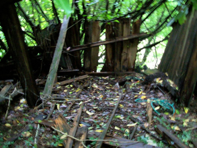 Yelverton trolley shed