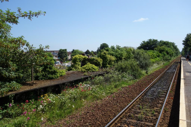 Polsloe Bridge Halt