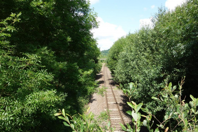 Seaton Junction Station