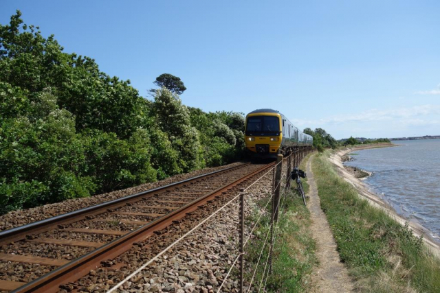 Exmouth Branch