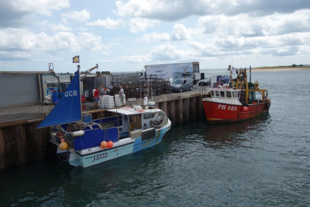 Starcross for Exmouth