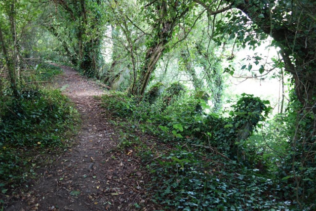 Lyme Regis Branch