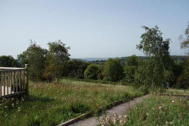 Lyme Regis Branch