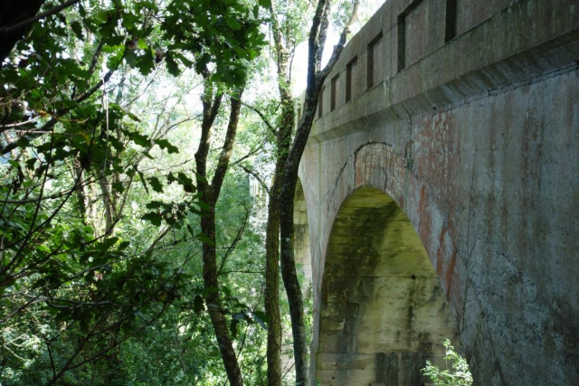 Cannington Viaduct