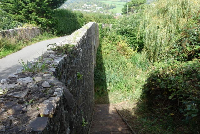 Lyme Regis Branch