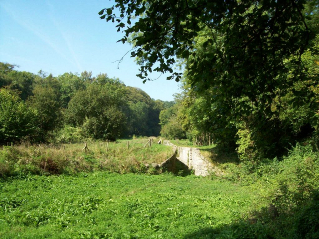 Combe Hay Locks