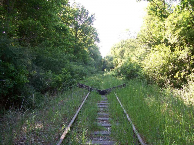 Moretonhampstead Branch