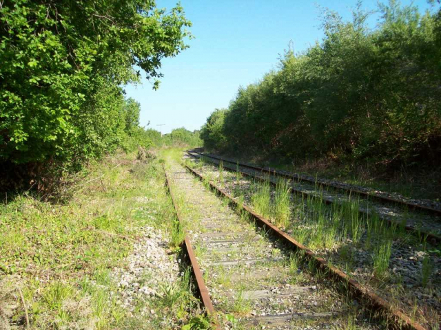 Moretonhampstead Branch