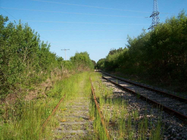 Moretonhampstead Branch